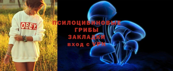 каннабис Корсаков