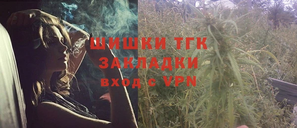 каннабис Корсаков