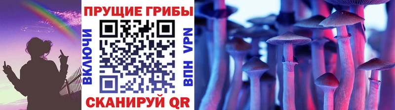 Купить закладки  Дубна  Псилоцибиновые грибы ЛСД 